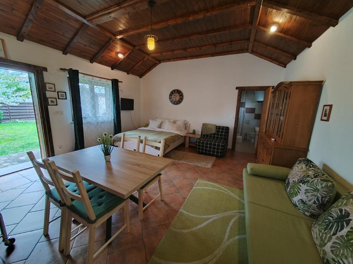 Studio apartman Buteo Jastrebarsko Esterno foto